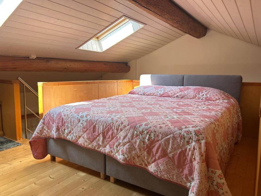 Apartament A Hilarious Hideaway In Roveredo Zewnętrze zdjęcie