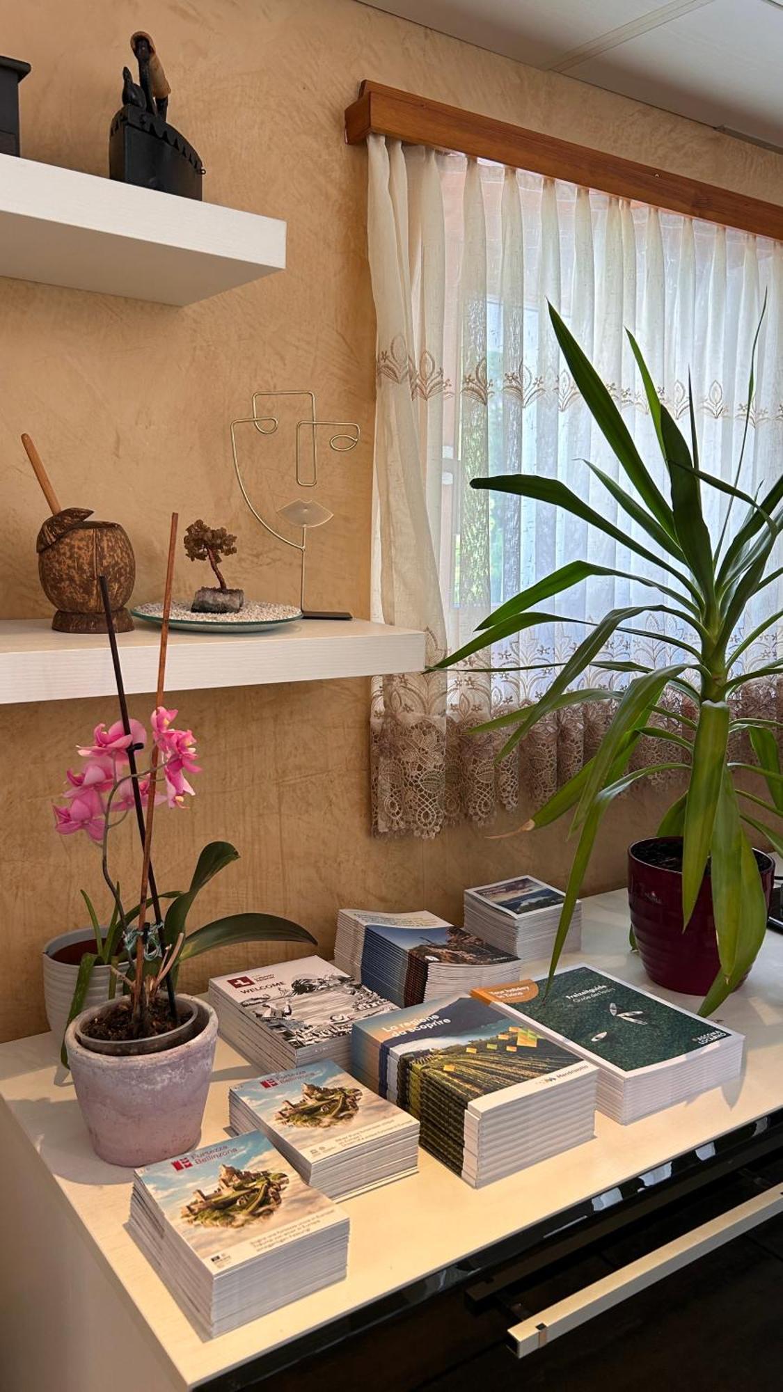 Apartament A Hilarious Hideaway In Roveredo Zewnętrze zdjęcie